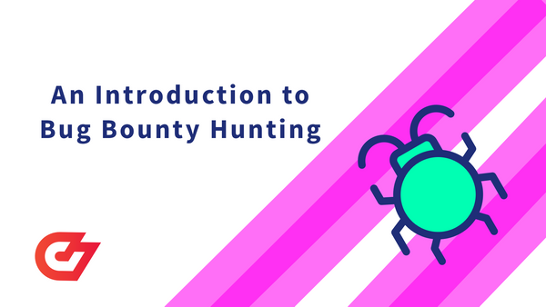 An Introduction to Bug Bounty Hunting